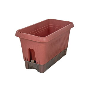 Bestco xXgR xXgR v^[  ybg{gŎ LX^[t { 500^ eRb^ MA-4201