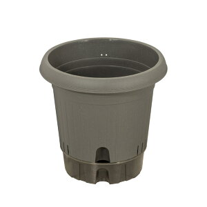 Bestco xXgR xXgR Aؔ  |bg { 360^ O[ MA-4212