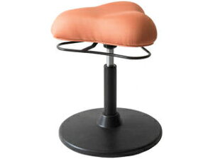 MIYATAKE {쏊 [^Cv v|[VXc[ IW CH-800LOR