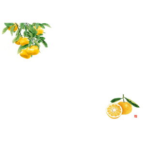 KAMIISO �J�~�C�\�Y�� ��3 �e�[�u���}�b�g(100����) �݂��� No.528