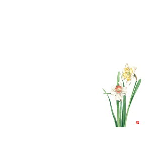 KAMIISO �J�~�C�\�Y�� ��3 �e�[�u���}�b�g(100����) �X�C�Z�� No.529