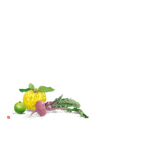 KAMIISO �J�~�C�\�Y�� ��3 �e�[�u���}�b�g(100����) �S�M�q�ƐԃJ�u No.531