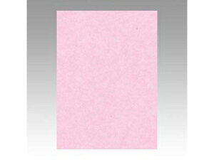 ^/Ԃ񂤂ǂ Fp j[J[ 4  4NCR-218 lc c542×392mm