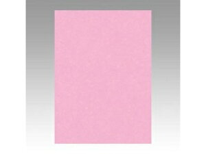 ^/Ԃ񂤂ǂ Fp j[J[ 4 Ƃ 4NCR-234 lc c542×392mm