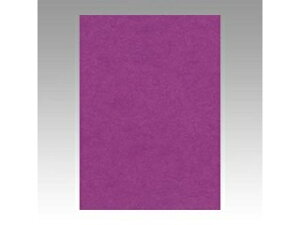 ���^��/�Ԃ񂤂�ǂ� �F��p�� �j���[�J���[ 4�� �ނ炳�� 4NCR-241 �l�c�� �c542×��392mm