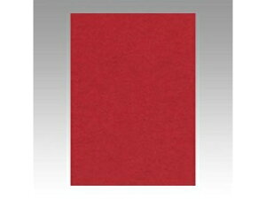 ���^��/�Ԃ񂤂�ǂ� �F��p�� �j���[�J���[ 4�� ���� 4NCR-550 �l�c�� �c542×��392mm