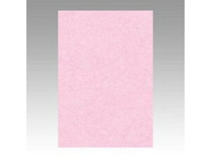 ^/Ԃ񂤂ǂ Fp j[J[ 8  8NCR-218 c c392×271mm