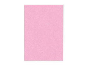 ^/Ԃ񂤂ǂ Fp j[J[ 8 Ƃ 8NCR-234 c c392×271mm