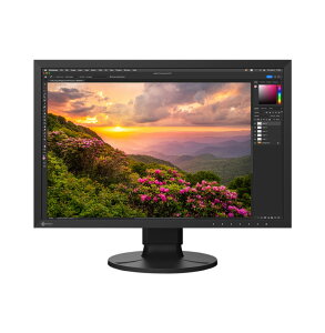 EIZO 24.1C`J[tj^[ ColorEdge (1920x1200/USB Type-C) CS2400S-BK