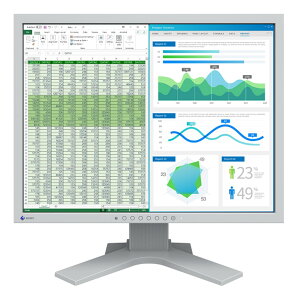 EIZO FlexScan 21.3C`J[tj^[(1600x1200) S2134-HGY