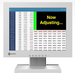 EIZO DuraVision 12.1�C���`�J���[�t�����j�^�[(1024x768) FDX1204-TGY