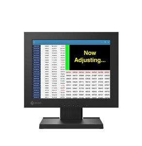 EIZO DuraVision 12.1C`J[tj^[(1024x768) FDX1204-TBK