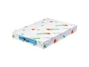 kzIB NEWt@CJ[ 64g 500 B4 XJCu[