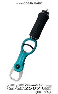 STUDIO OceanMark / X^WII[V}[N I[VObv OG2507VIII HDf u[O[ 053346354