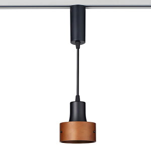 ELPA Gp d LRS-PW01D(BK)ubN@LEĎ^y_gCg ؘg (F)