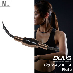 QULIS �N���C�X �l�b�N���X �o�����X�t�H�[�X Plate