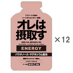 _Cg[Y I͐ێ悷 TpE`GlM[WF ys[`zy12{/1z301200