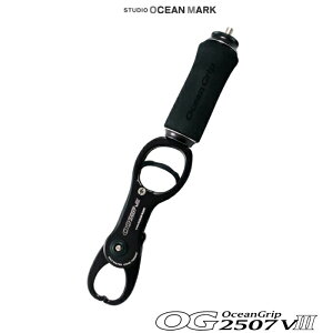STUDIO OceanMark / X^WII[V}[N I[VObv OG2507VIII TfBOubN