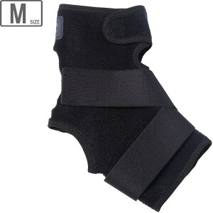 t@Ce Phiten t@CeT|[^[ ^bNX p n[h^Cv yubNzyMTCYz AP238004