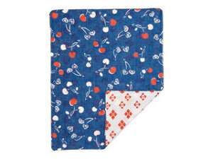 낿@ʃK[[nJ`@  42102113