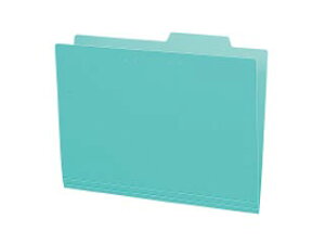 KOKUYO/RN A4-IFH-G ʃtH_[ (J[ PP 5pbN)