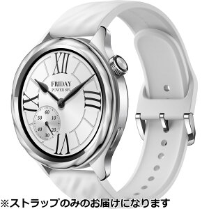 Xiaomi �V���I�~ �X�}�[�g�E�H�b�`�p�X�g���b�v Xiaomi Watch Bezel and Strap Kit-Liquid Silver BHR9902GL