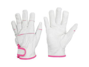 MIDORI ANZEN ~hS pv MT-550 STCY