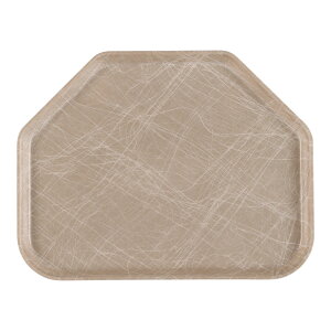 CAMBRO �L�����u�� �L�����u���g���y�]�C�h�g���[1418TR �A�u�X�g���N�g�^��