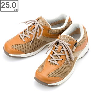 ASAHI/ATqV[Y yfB[XzfBJEH[N MS-LyI[Nzy25.0cmE4EzKV77458 Xj[J[ SHM(R)@\ ʋC t@Xi[t tbgOt@[