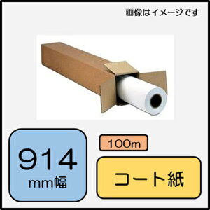 �G�X�E���C�E�V�[ LF3-MCP36CX �J���[�R�[�g�� 36�C���`x100m/81g/1�{
