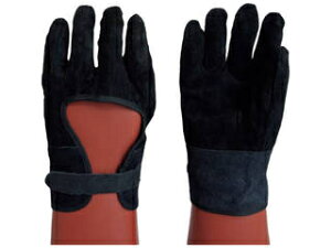 WATABE/nH SܗpvJo[ 730