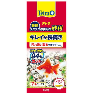 Spectrum XyNguYWp eg  NNꍻ 7F~bNX 800g
