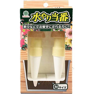 MARUHACHI }n`Y DAHLIA/_ V蓖 MTCY