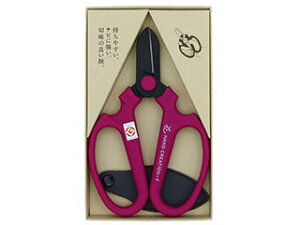 sakagen ⌹ nhNG[V F170 n oCIbg  #59142