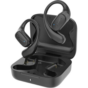 ͏ TAIGASHOJI MONOWA m 041 CXCz BK ǂȂVoTEh