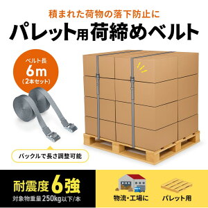 SANWA SUPPLY �T�����T�v���C QL-E103 �ג��� �Œ�x���g ����6m ��32mm 2�{�Z�b�g �p���b�g�ωח����h�~ ���� �q��
