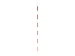 SHINWA �V�������� �s���|�[�� �X�`�[���� 60cm ��4 76928