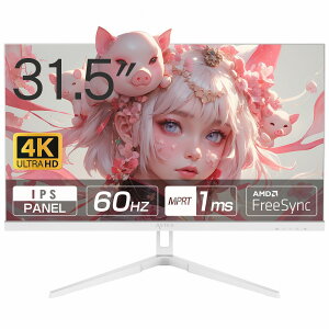 WIS ウィズ 315U60HPW ホワイト 31.5インチ4K60Hzモニター