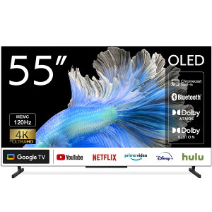 WIS EBY AX-ESK55 ubN 55V^`[i[XX}[ger yEBnEkCȆ̗͔zł܂z yzԎwsz