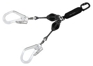 FUJII dH EZ RITRA C[W[g tn[lXExgp^cC[hbN@\掮