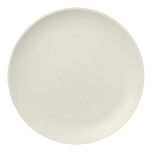 RAK PORCELAIN ���b�N�|�[�Z���� �l�I�t���[�W���� �t���b�g�v���[�g SW 24cm RA24001NFSW