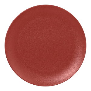 RAK PORCELAIN ���b�N�|�[�Z���� �l�I�t���[�W���� �t���b�g�v���[�g DR 29cm RA29001NFDR