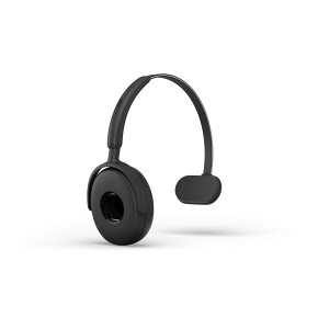 GN�I�[�f�B�I Jabra 14121-46 Perform 75 Headband OTH 1PCS