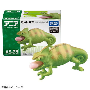 ���i�摜