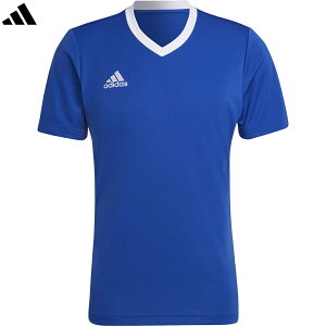 adidas AfB_X yYzEntrada 22 W[W[ ZG486 AEROREADY y`[Cu[z