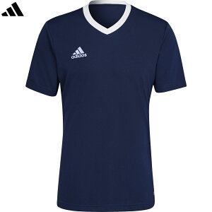 adidas AfB_X yYzEntrada 22 W[W[ ZG486 AEROREADY y`[lCr[u[z