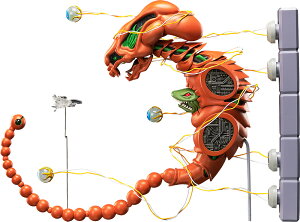 FREEing figma R-TYPE �h�u�P���h�v�X �����O�\�� �󒍐��Y�̈׃L�����Z���s�� ��������s��