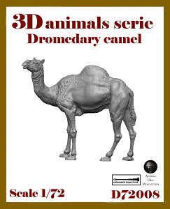 Afk~j`A 1/72 WI}ANZT[ 3DV[Y qgRuN_ ARD72008