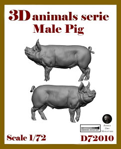 Afk~j`A A1/72 WI}ANZT[ 3DV[Y IX̃u^(2)RD72010