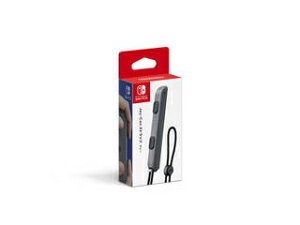�C�V�� Joy-Con�X�g���b�v �O���[ ���ЂƂ�l1�_����